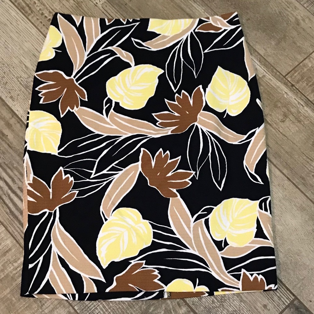 Ann Taylor Pencil Skirt